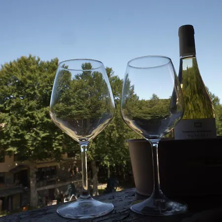 Vetta Hotel 3*